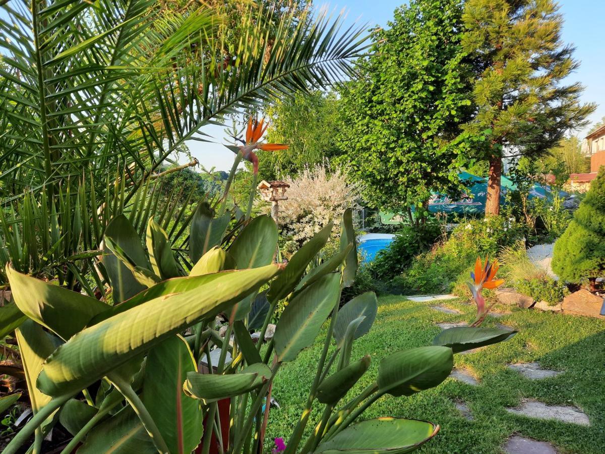 Penzion Zahrada Nad Rekou, Restaurace A Kavarna - Parkovani Gratis Zlata Koruna Ngoại thất bức ảnh