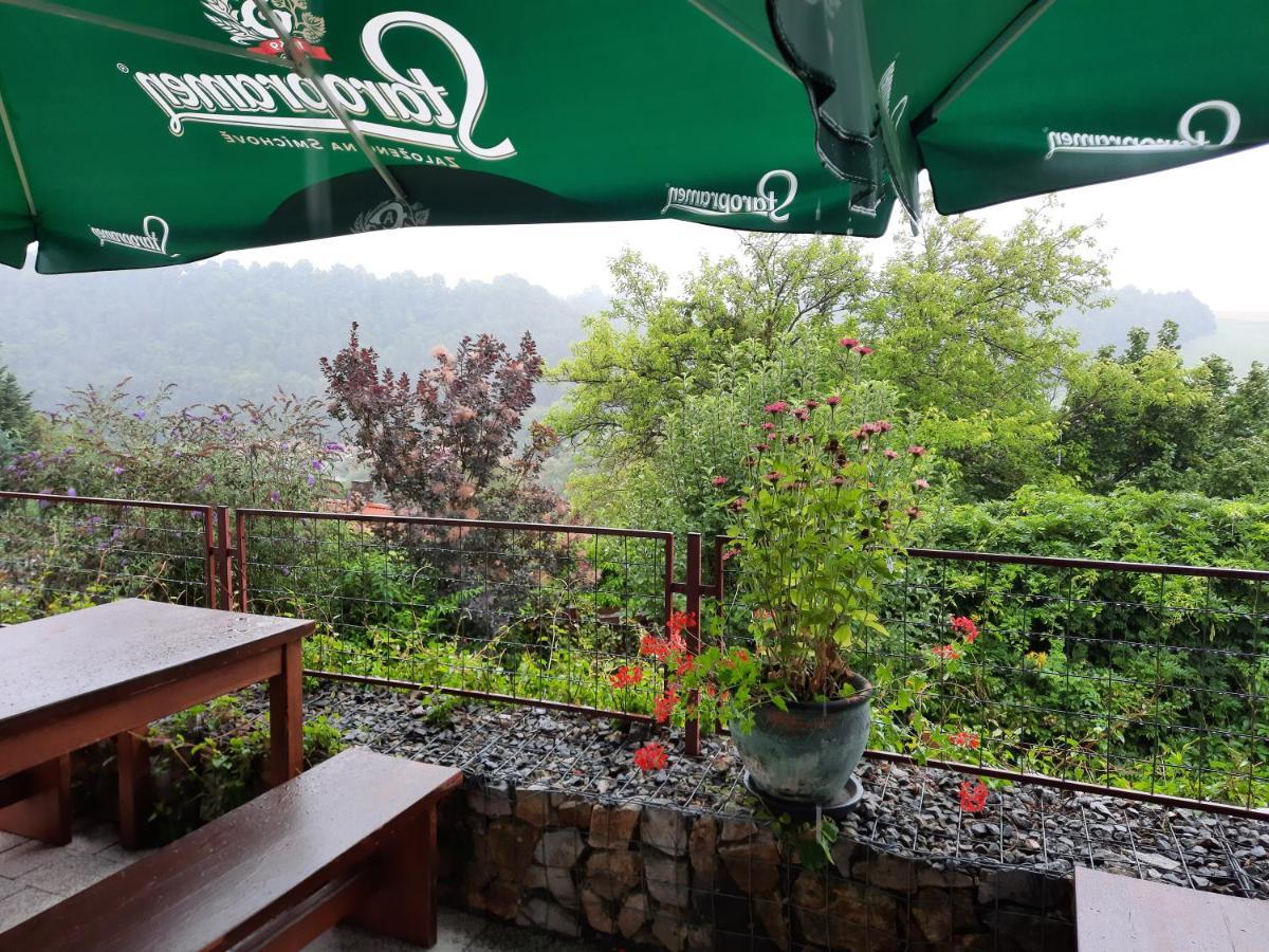Penzion Zahrada Nad Rekou, Restaurace A Kavarna - Parkovani Gratis Zlata Koruna Ngoại thất bức ảnh